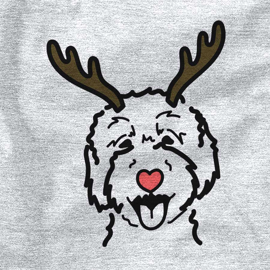 Red Nose Goldendoodle 2