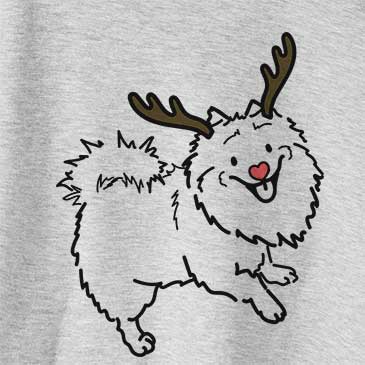 Red Nose Goldie the Pomeranian Mix