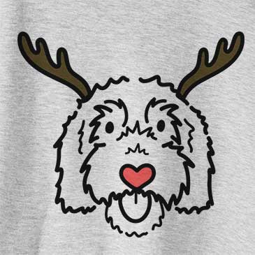 Red Nose Gus the Goldendoodle