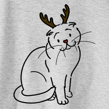 Red Nose Hank the Scottish Fold Cat