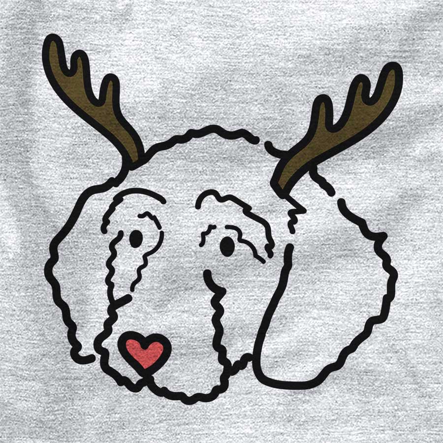 Red Nose Hanna the Goldendoodle