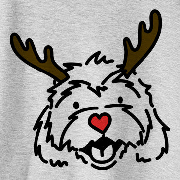 Red Nose Harry the Cavachon