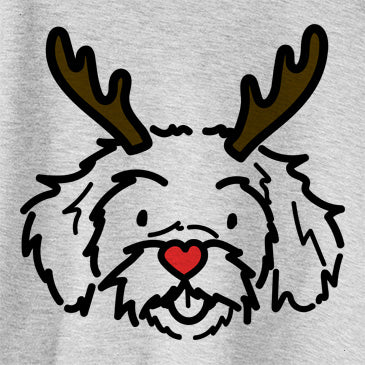 Red Nose Jo Jo the Peekapoo