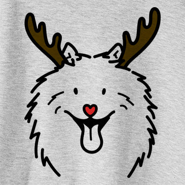 Red Nose Johnny the Samoyed