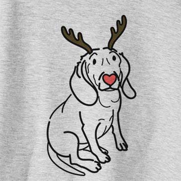 Red Nose Lilly the Beagle