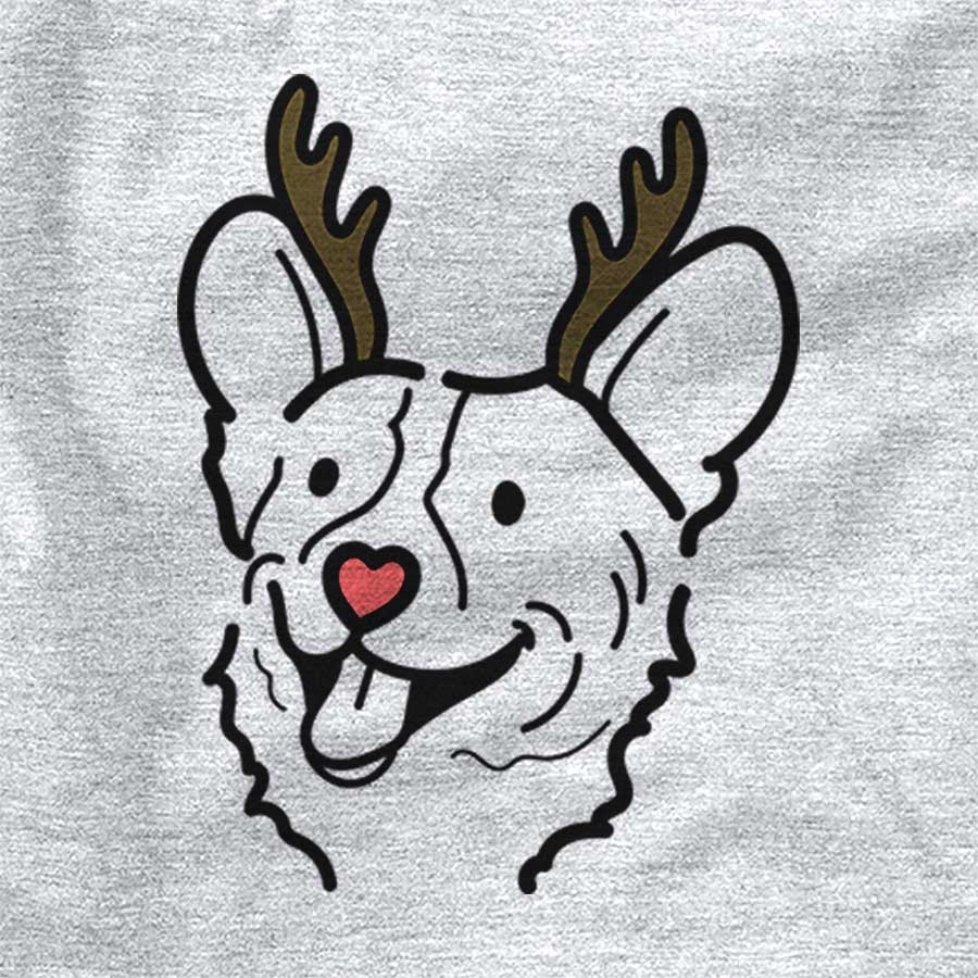 Red Nose Lily the Corgi