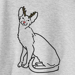 Red Nose Lyra the Oriental Shorthair Cat
