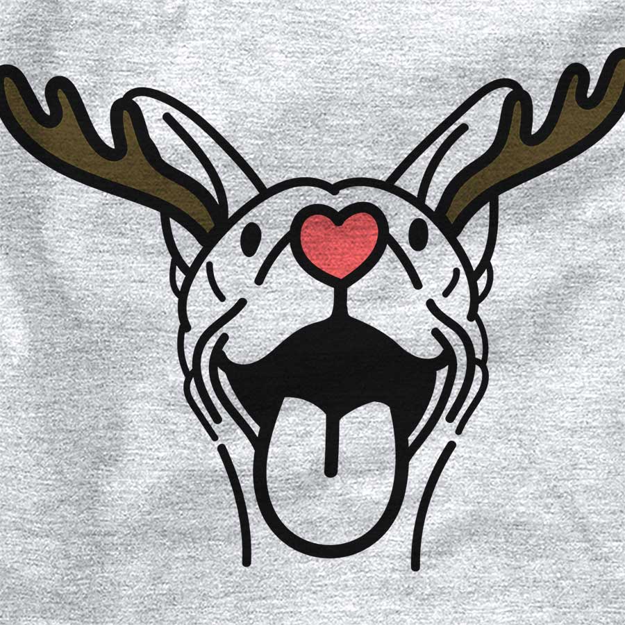 Red Nose Merlin the Basenji