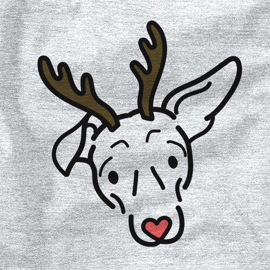 Red Nose Millie the Mixed Breed