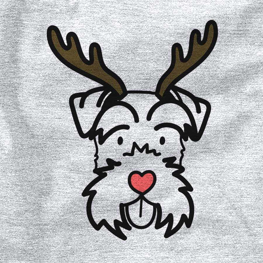 Red Nose Miniature Schnauzer