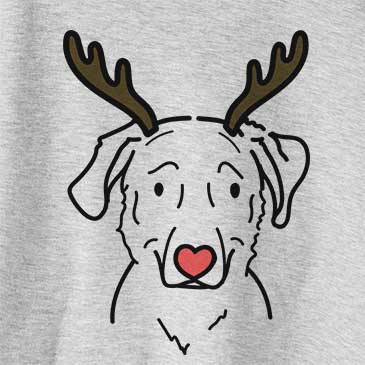 Red Nose Mitzi the Golden Retriever Mix