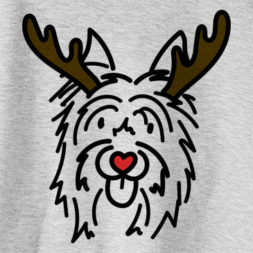 Red Nose Monty the Silky Terrier