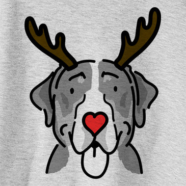 Red Nose Moose the Greater Swiss Mountain Dog