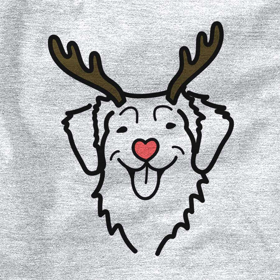 Red Nose Nova Scotia Duck Tolling Retriever