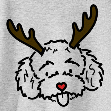 Red Nose Ricci the Toy Poodle