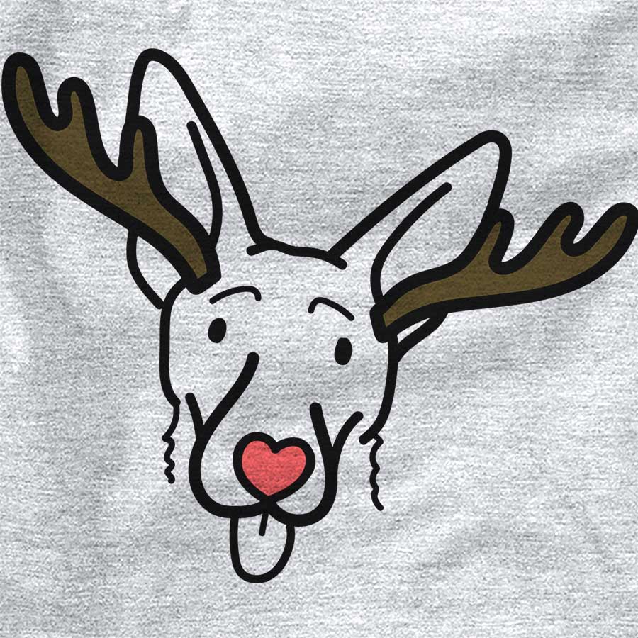 Red Nose Rosie the Shepherd Mix