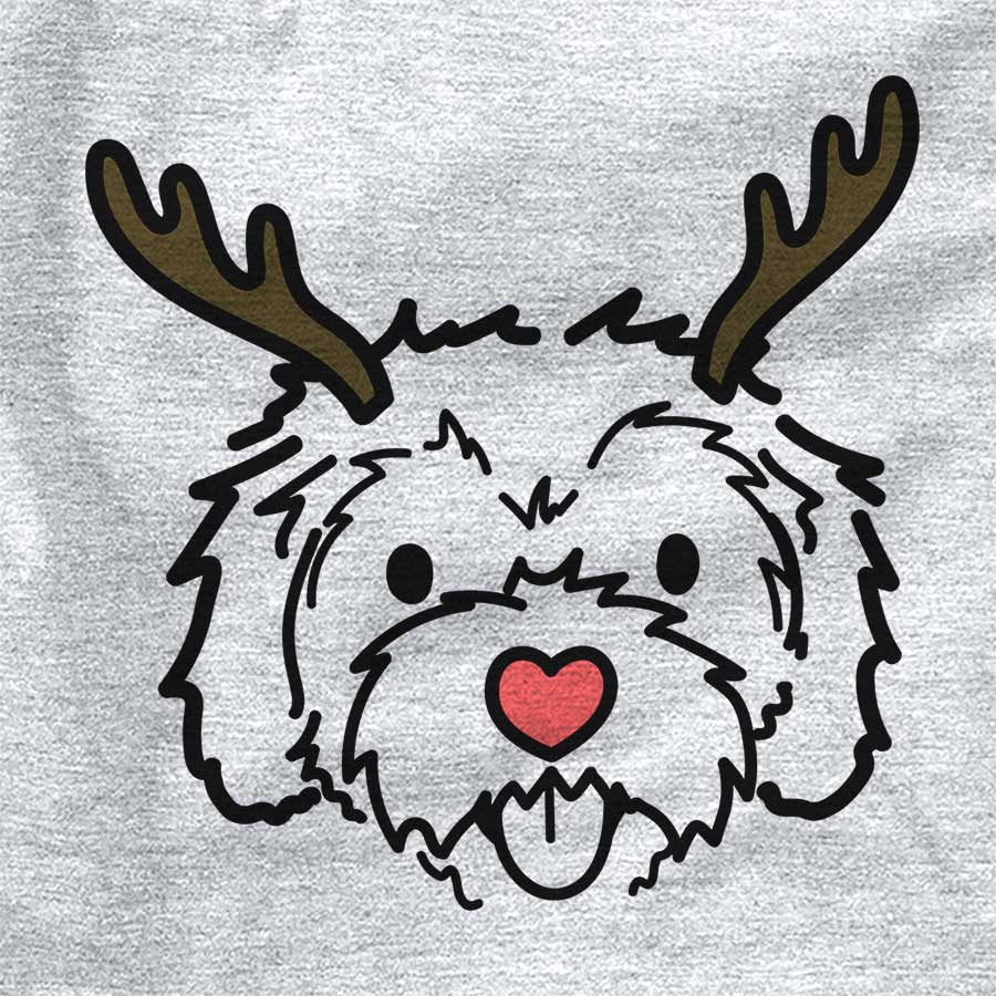 Red Nose Sprinkles the Cockapoo