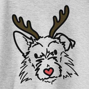 Red Nose Ziggy the Terrier Mix