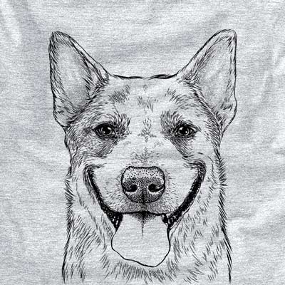 Rio the Australian Cattle Dog