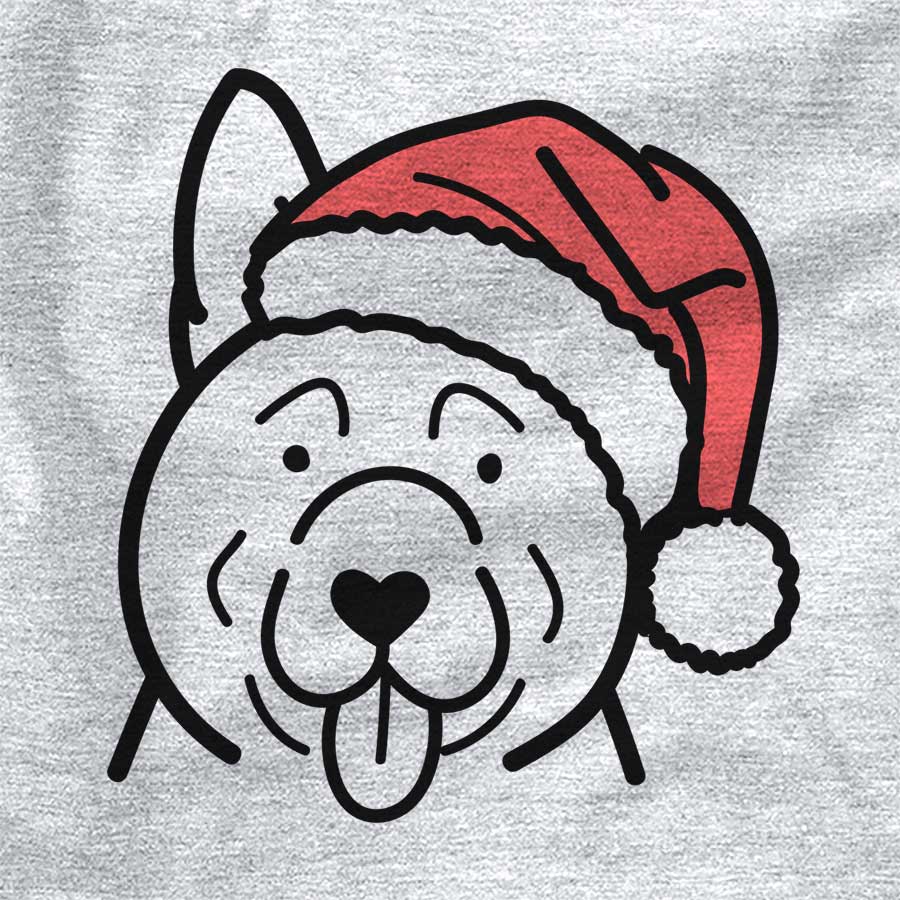 Jolly Akita