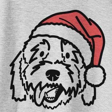 Jolly Barry the Goldendoodle