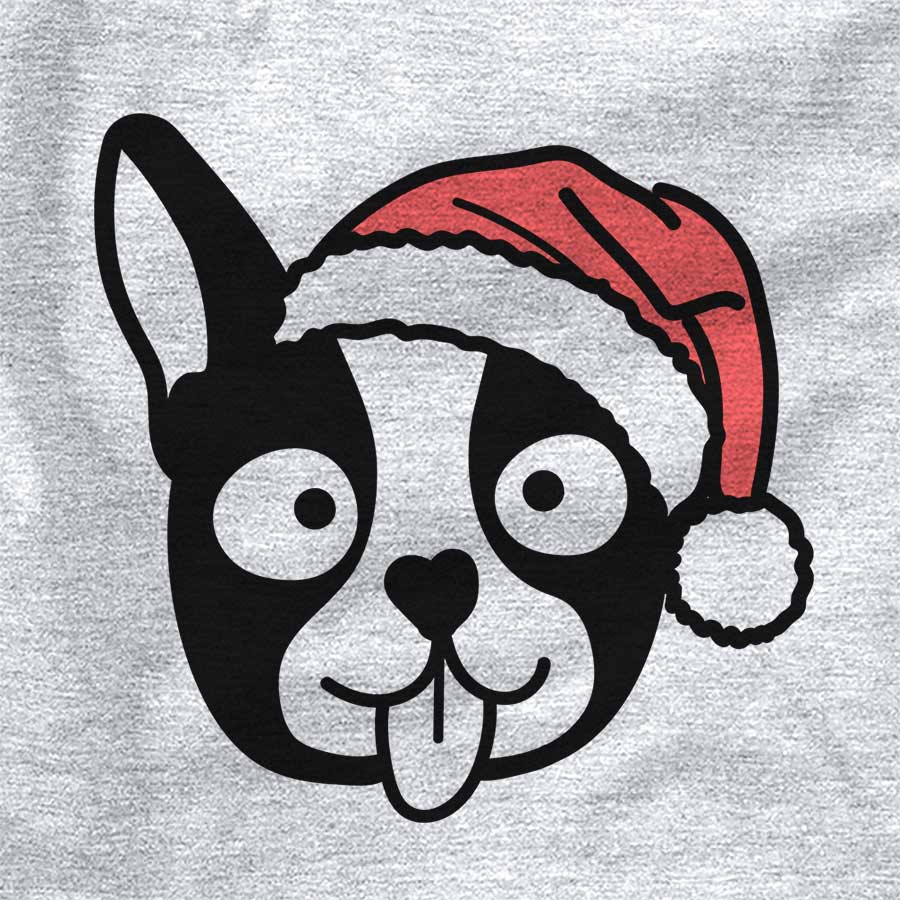 Jolly Boston Terrier