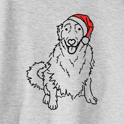 Jolly Daisy the Golden Retriever