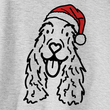 Jolly Dolly the English Cocker Spaniel