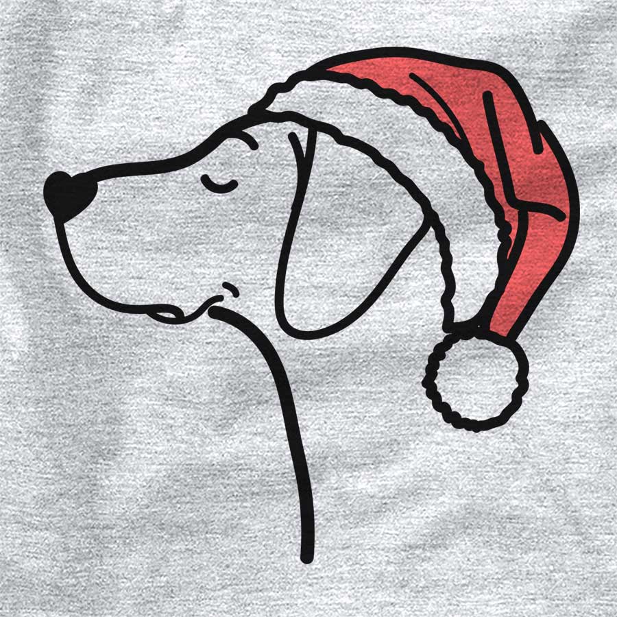 Jolly German Shorthaired Pointer