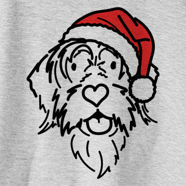 Jolly Wirehaired Pointing Griffon - Gary