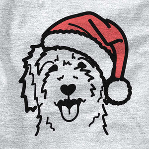 Jolly Goldendoodle