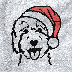 Jolly Goldendoodle 2
