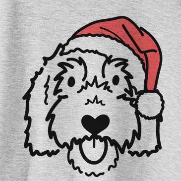 Jolly Gus the Goldendoodle