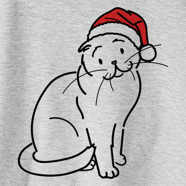 Jolly Hank the Scottish Fold Cat