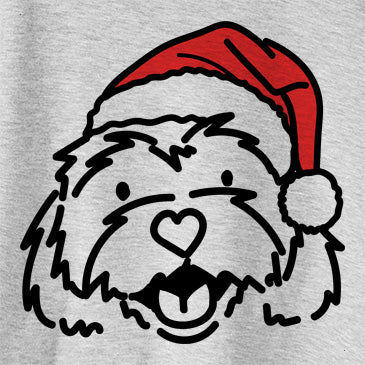 Jolly Harry the Cavachon