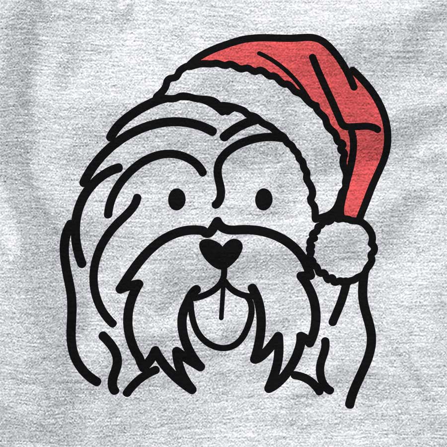 Jolly Havanese