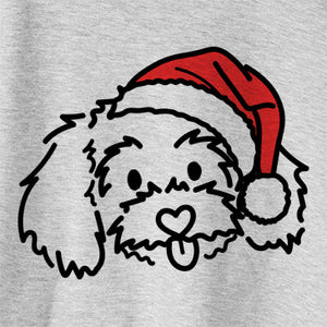 Jolly Holly the Maltipoo