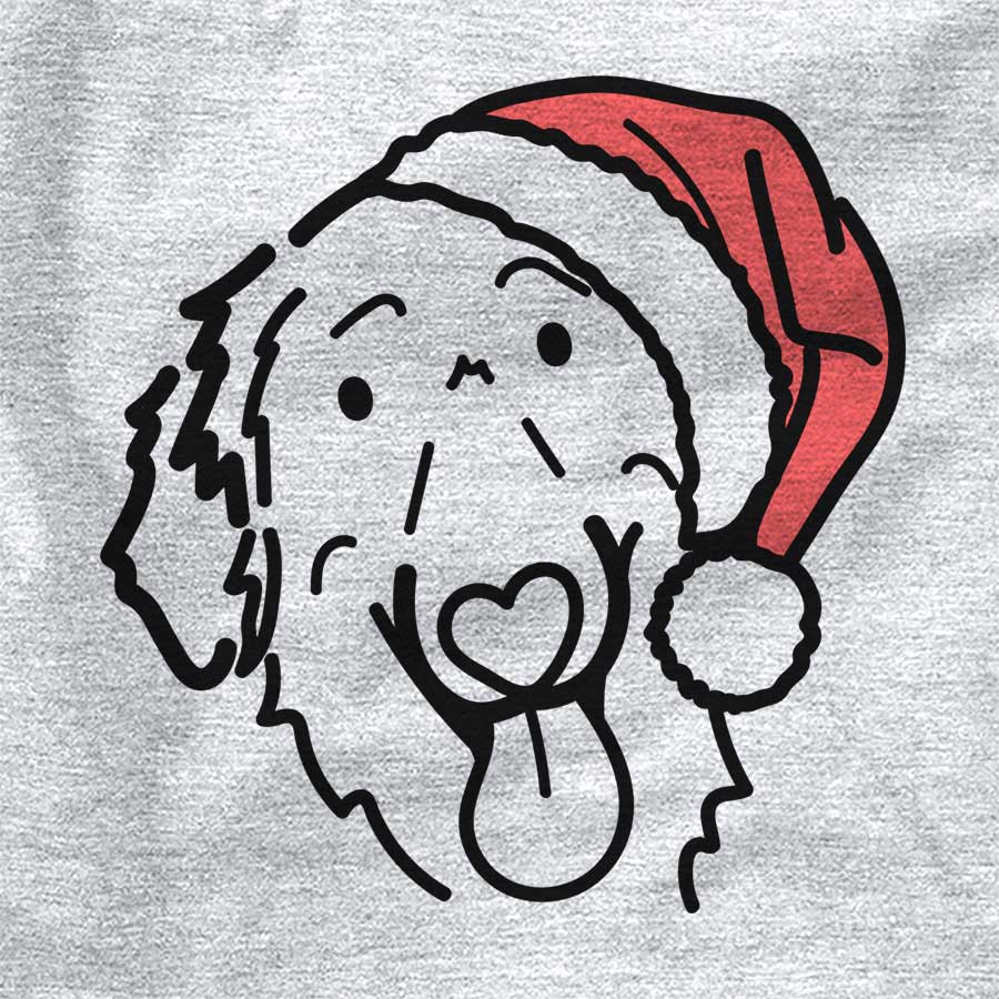 Jolly Jack the Flat-Coated Retriever