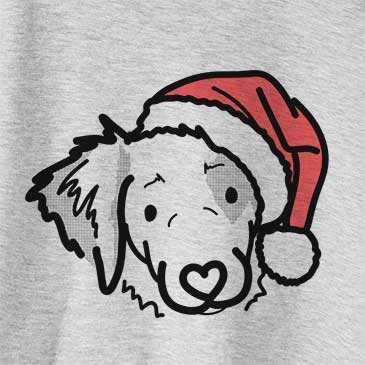 Jolly Kiva the Brittany Spaniel