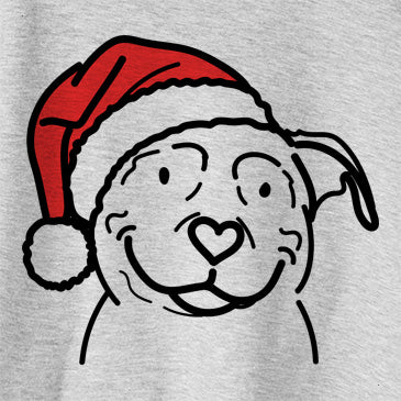 Jolly Lady the American Pitbull Terrier