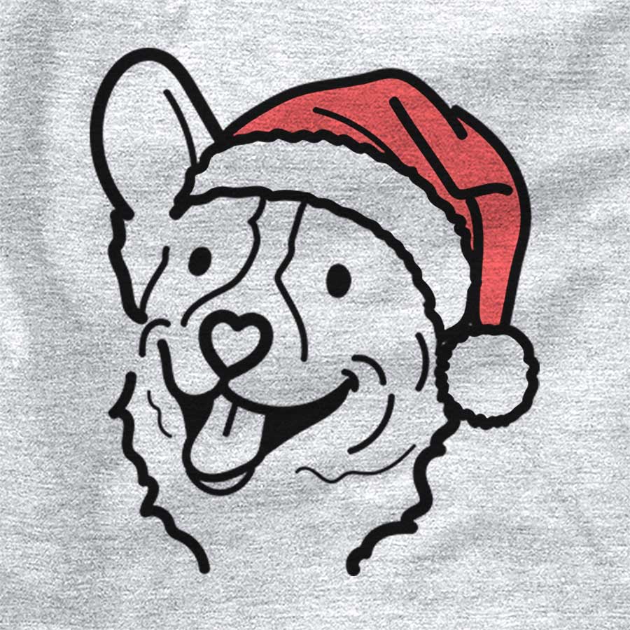 Jolly Lily the Corgi