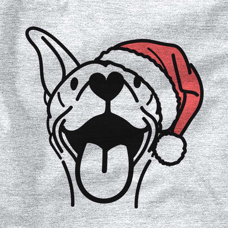 Jolly Merlin the Basenji