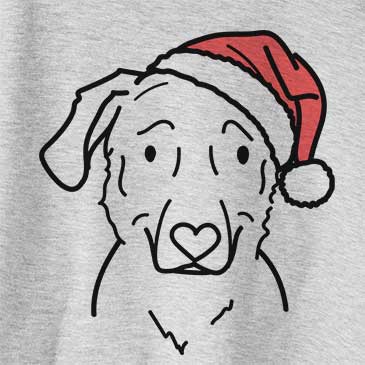 Jolly Mitzi the Golden Retriever Mix