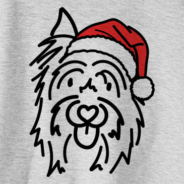 Jolly Monty the Silky Terrier