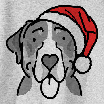 Jolly Moose the Greater Swiss Mountain Dog