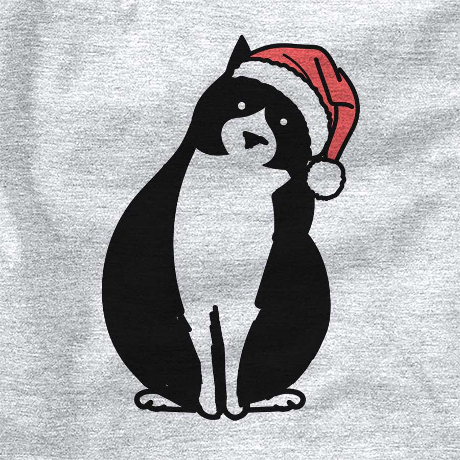 Jolly Oliver the Tuxedo Cat