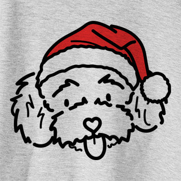 Jolly Ricci the Toy Poodle