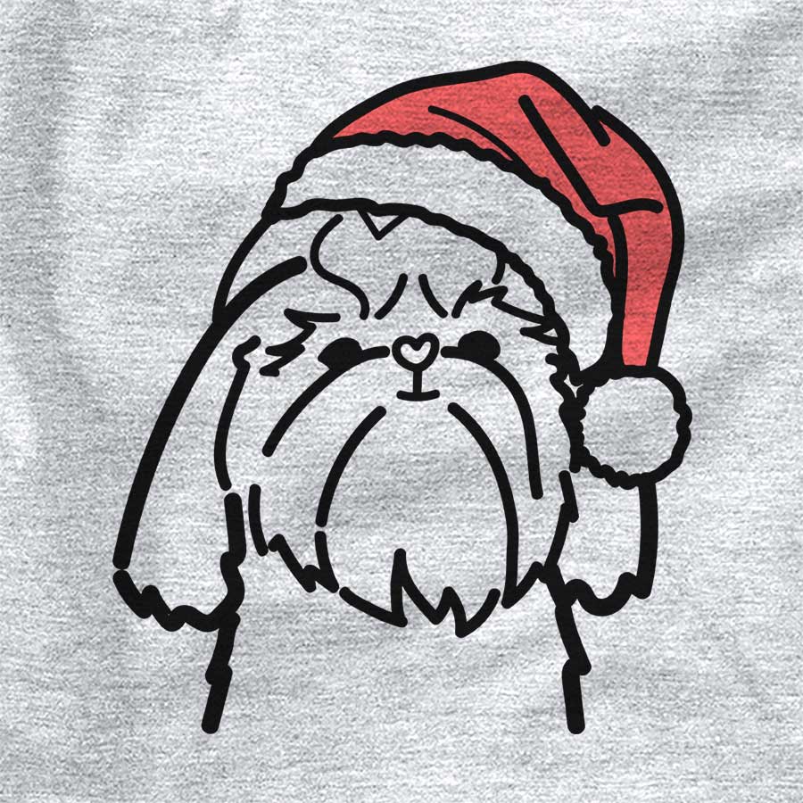 Jolly Shih Tzu