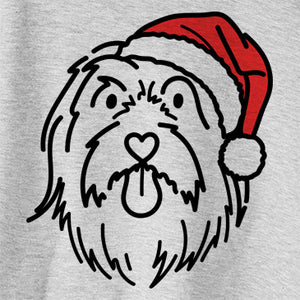 Jolly Tucker the Bearded Collie