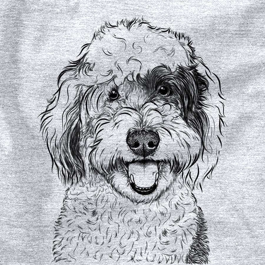 Sherlock the Sheepadoodle